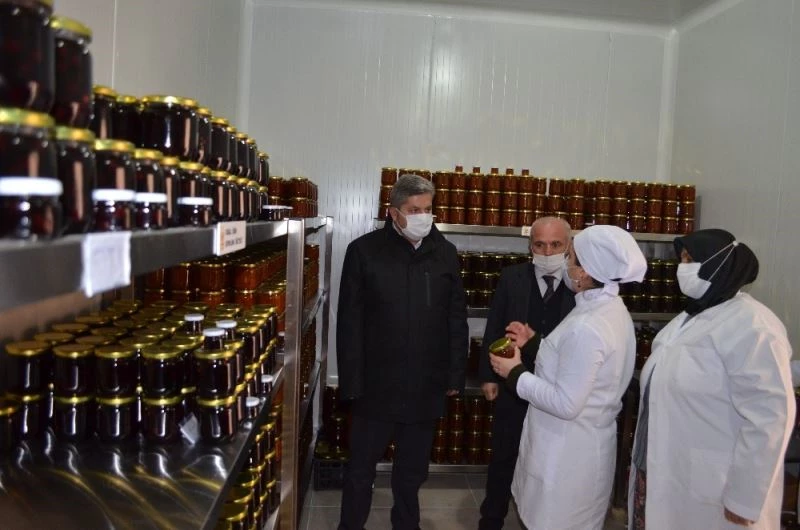 Kadın çiftçiler hem üretiyor hem de ev ekonomilerine katkı sunuyorlar
