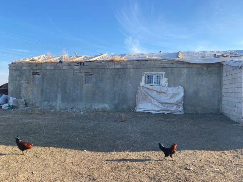 Çobanlık yapan baba, eve dönüştürdüğü ahırda ailesiyle yaşıyor
