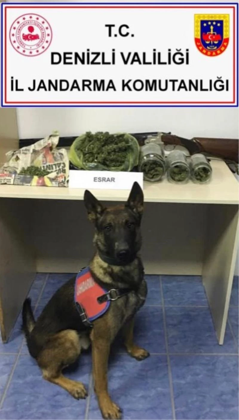 Halı yıkama işletmesinde uyuşturucu ticareti; 1 tutuklama
