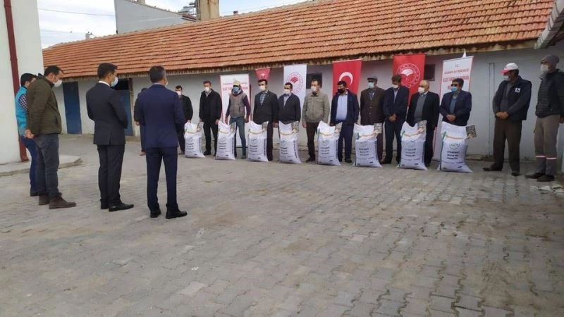 Aslanapa’da çiftçilere ’’Macar Fiği tohumu’’ dağıtıldı
