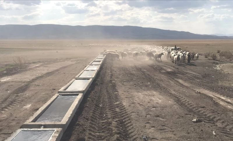 Van Büyükşehir Belediyesi 120 mahalleye bin adet sıvat kurdu
