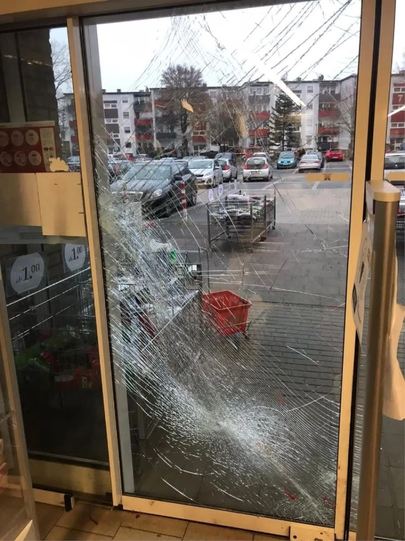 Almanya’da mağazaya dalan yaban domuzu paniğe neden oldu
