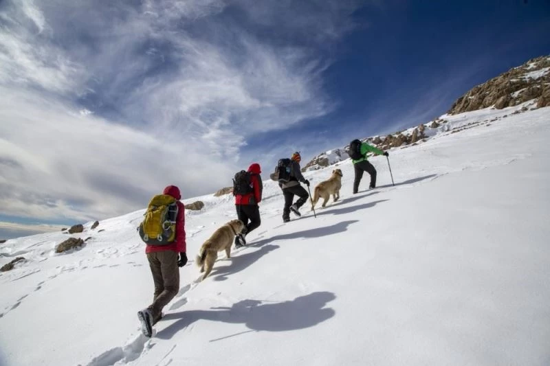 Kangallar, dağcılarla zirve yaptı
