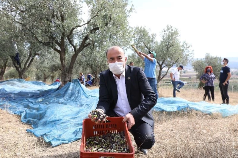 Mudanya Belediyesi’nden zeytin üreticisine 356 bin liralık destek
