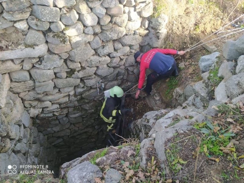 Aç kalan tilki indiği mahallede kuyuya düştü
