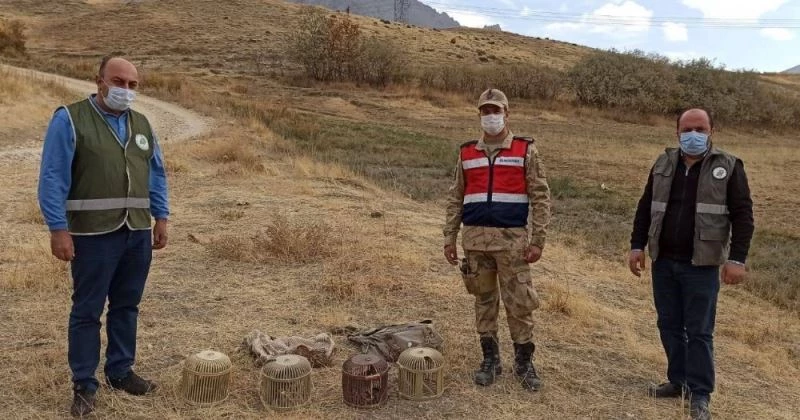 Kaçak avlanılan 4 kınalı kekliğe el konuldu
