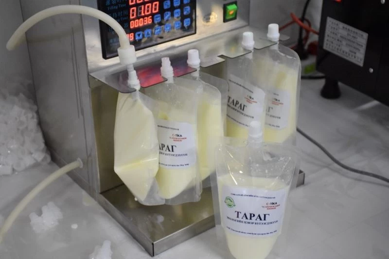 TİKA’dan Moğolistan’da süt ve süt ürünleri üretimine destek
