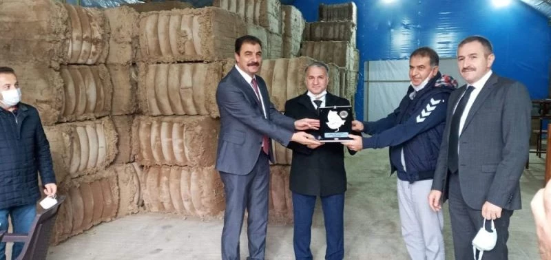 İstiridye mantarı yöre halkının yeni gelir kapısı oldu
