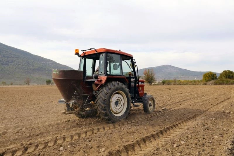 Menteşe’de ata tohumu buğdaylar toprakla buluştu
