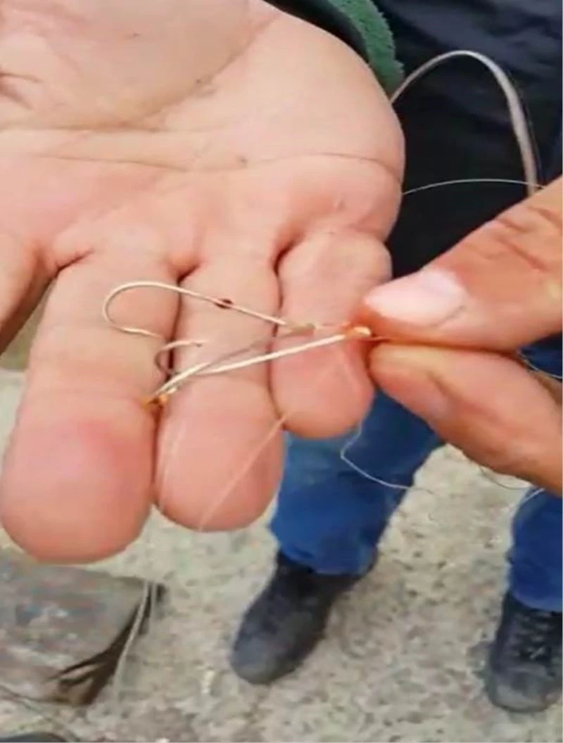 Soluk borusuna olta iğnesi takılan martıyı vatandaşlar kurtardı
