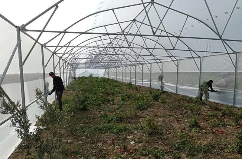 Büyükşehirle seracılık gelişiyor, üreticiler kazanıyor
