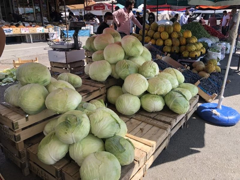 Erzincan’da kışın habercisi “Lahana” tezgahlarda yerini aldı
