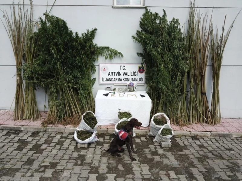 Uyuşturucu köpeği “Sakıt” suçlulara göz açtırmıyor
