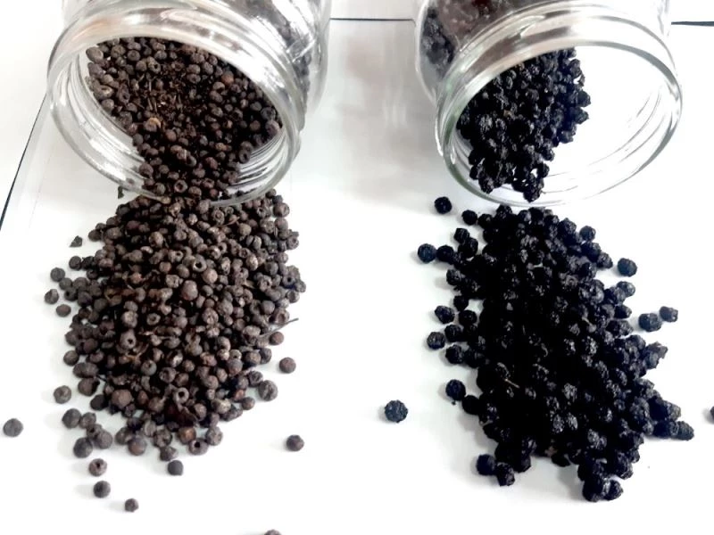 “Edirne kırmızısı” için önemli bir bilimsel adım daha
