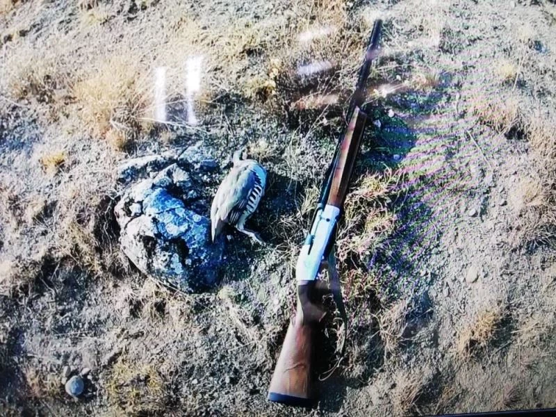 Usulsüz avlanan şahsa bin 713 lira para cezası kesildi
