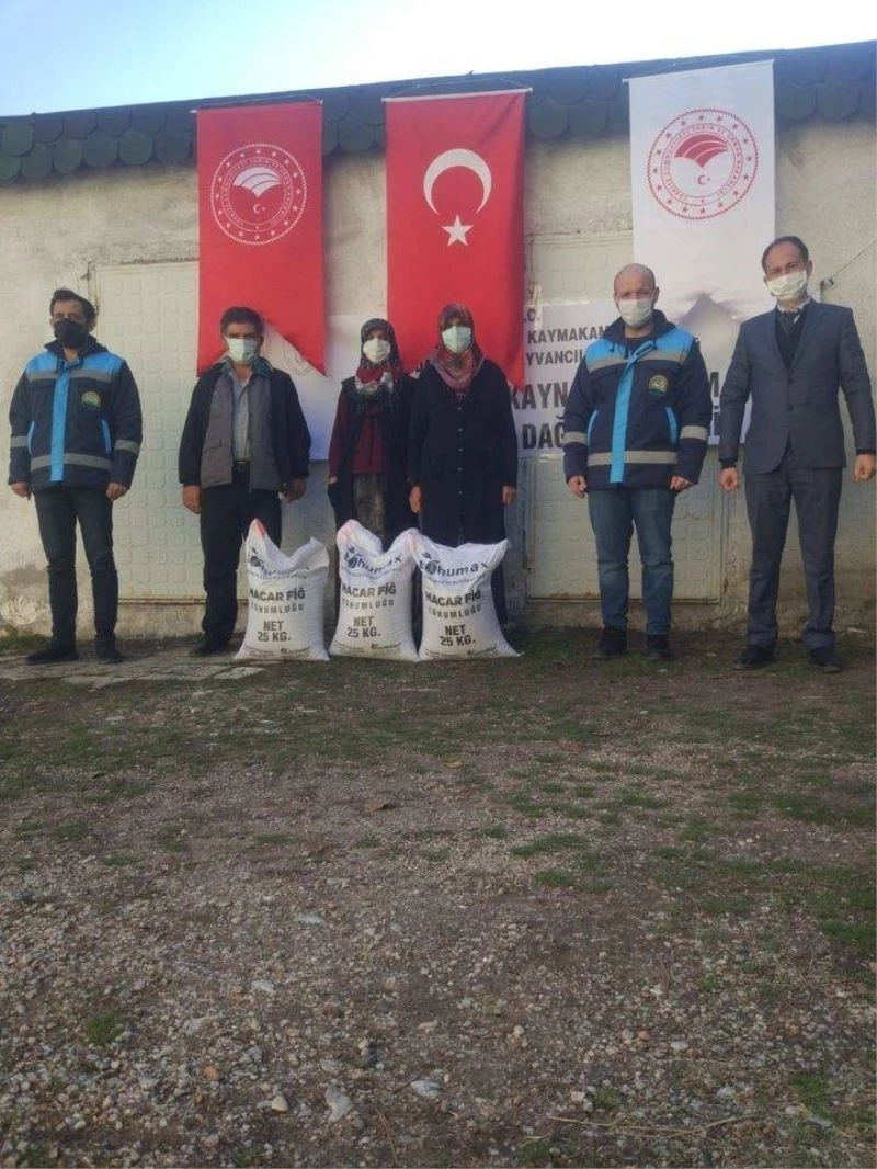 Çavdarhisar’da 4 bin kilogram ’’Macar Fiği tohumu’’ dağıtıldı
