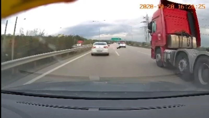 Otobanda köpek faciasından kıl payı kurtuldular...O anlar kamerada
