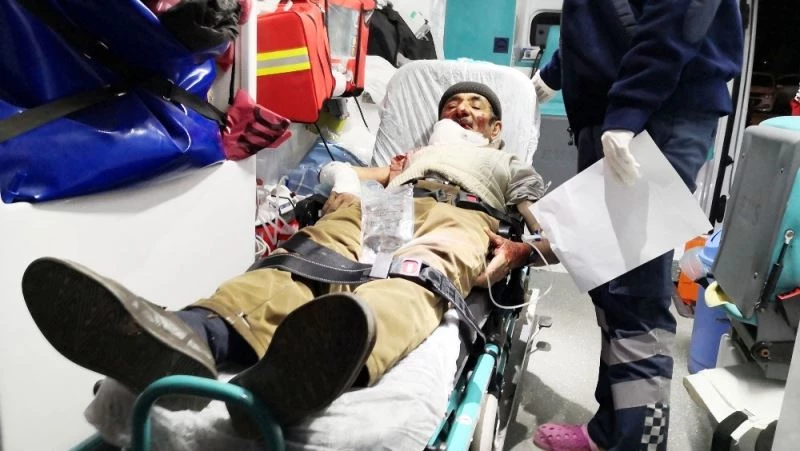 Köpek yaşlı adamın önce yüzünü, sonra vücudunu parçaladı
