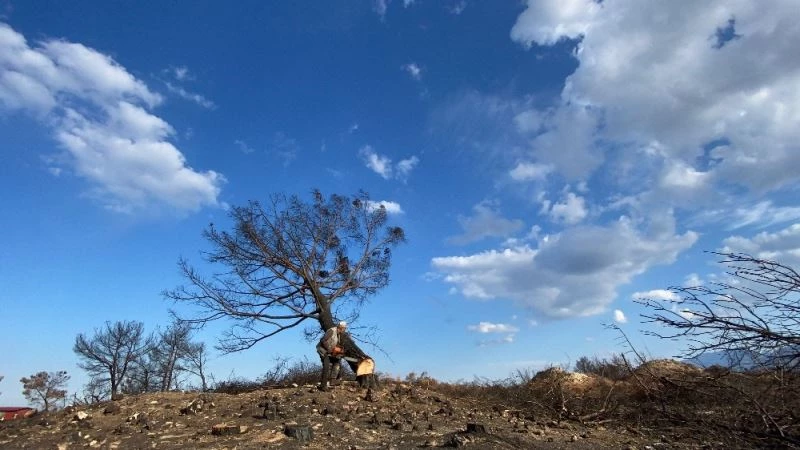 Hatay’da 1 milyon 563 bin fidan toprakla buluşacak
