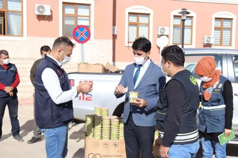 Öğrenciler fidanları ormanlar için büyütecek
