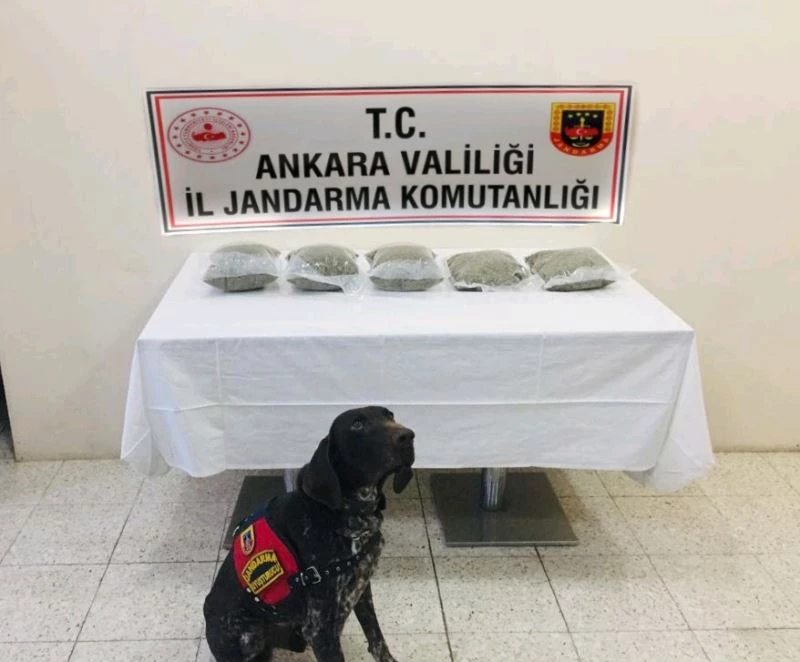 Jandarma adım adım takip etti, uyuşturucu tacirini otobüste yakaladı
