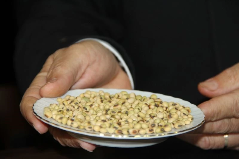 Çorum’da soya fasulyesi üretiminin teşvik edilmesi ve destek verilmesi için çağrı
