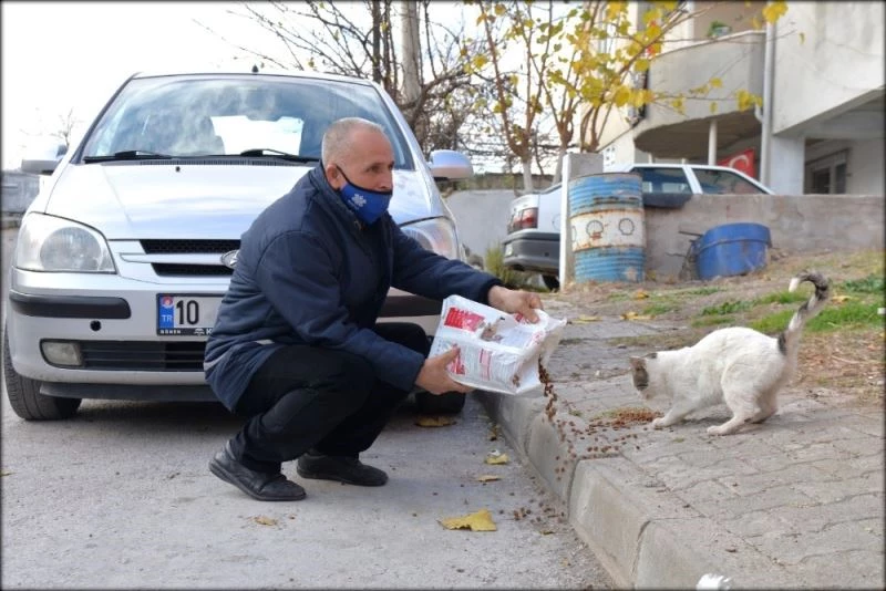 Altıeylül Belediyesi can dostlarını unutmadı
