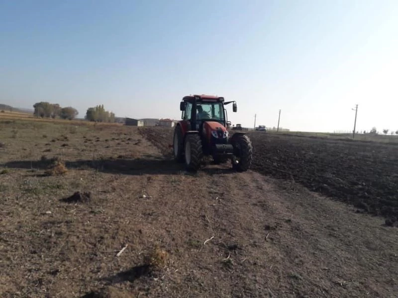 Bu ilçede buram buram lavanta kokacak
