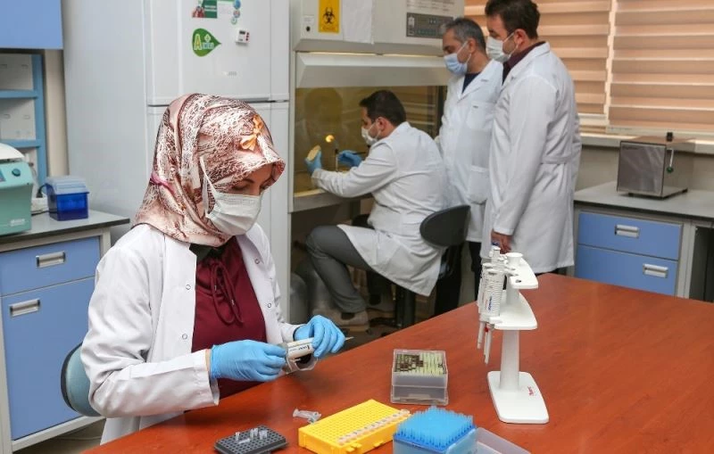 Yeni bakteri cinsi ve türü keşfedildi
