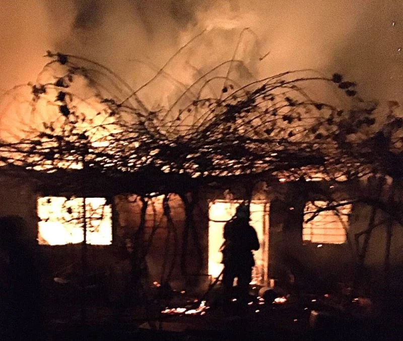 Edremit’te hayvan damı cayır cayır yandı
