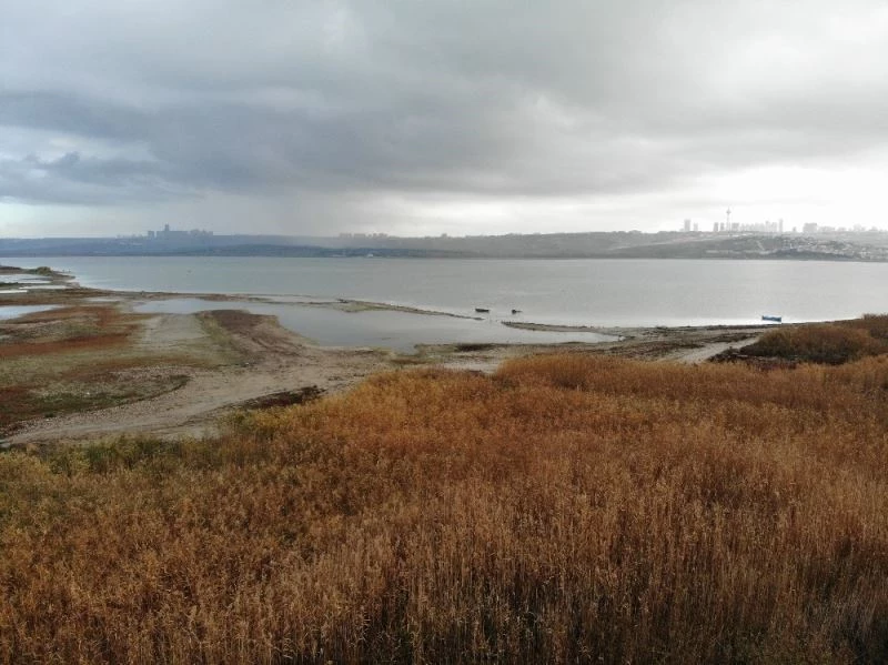 (Özel) Suların çekildiği Büyükçekmece Barajı’nda korkutan görüntü
