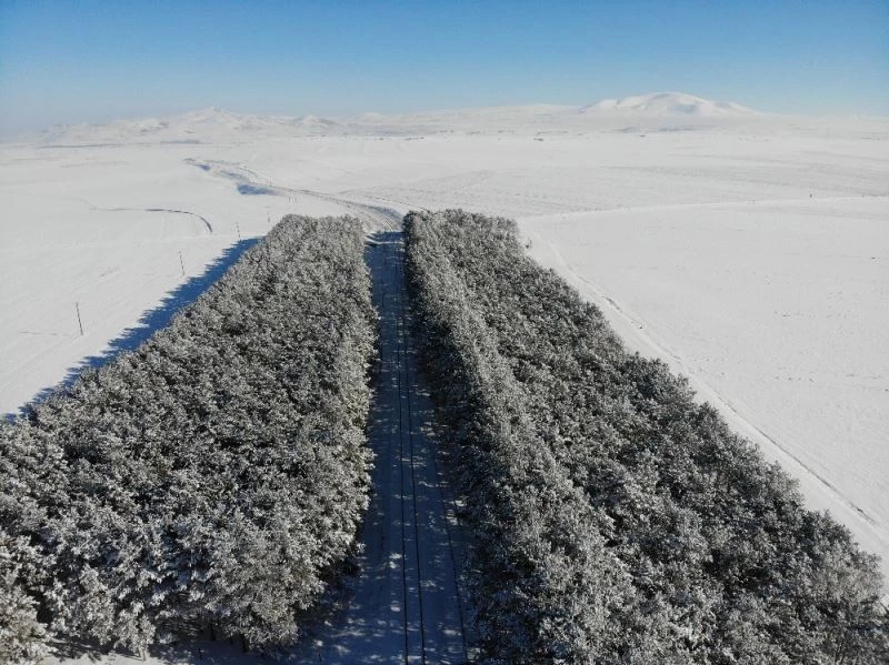 Kars’ta bozkırın ortasındaki vaha havadan görüntülendi
