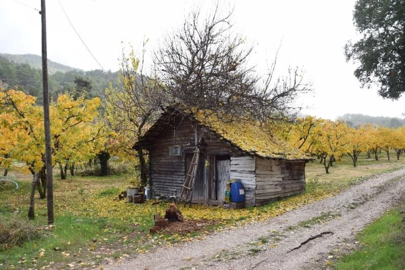 Kısıtlama günlerinin de yaylayı tercih ettiler

