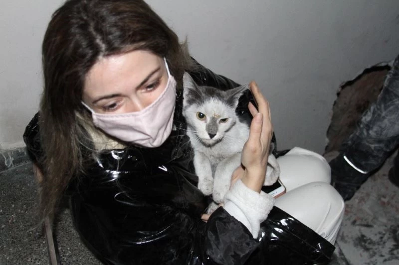 Depremden bu yana kayıp kedisine 42 gün sonra kavuştu
