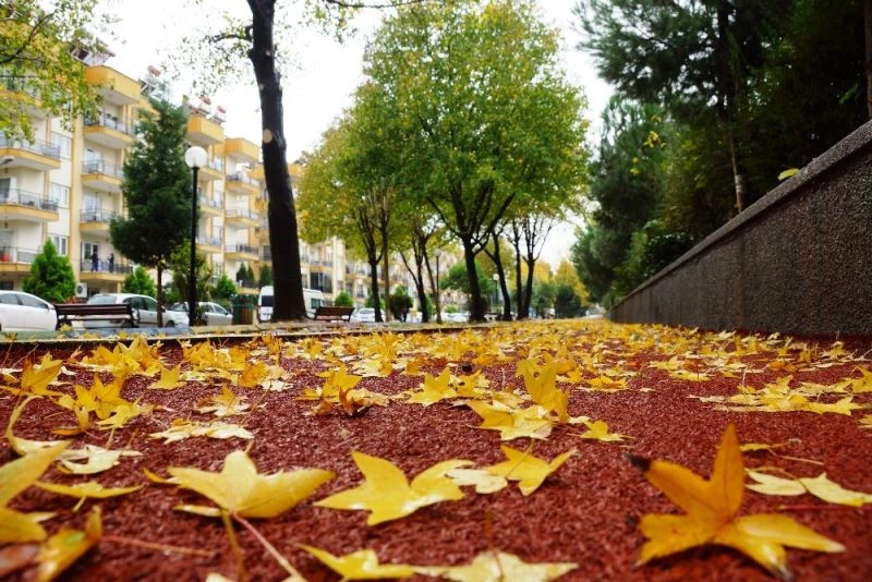Sonbahara veda edemeyen şehir, sarıya büründü
