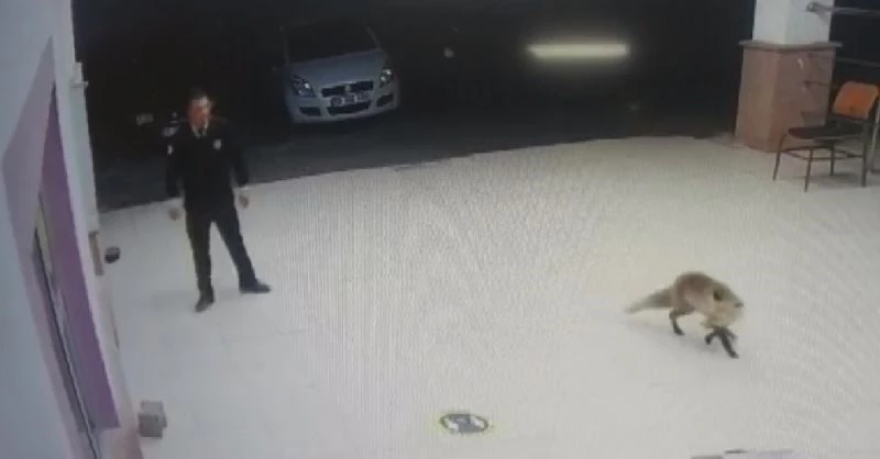 ’Besle tilkiyi, çalsın anahtarını’
