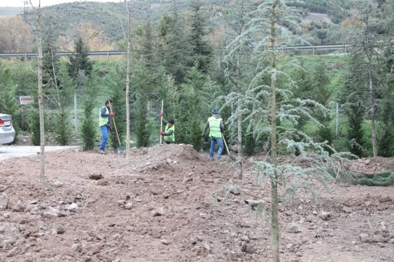 Körfez’de yeşil alanlar arttırılıyor
