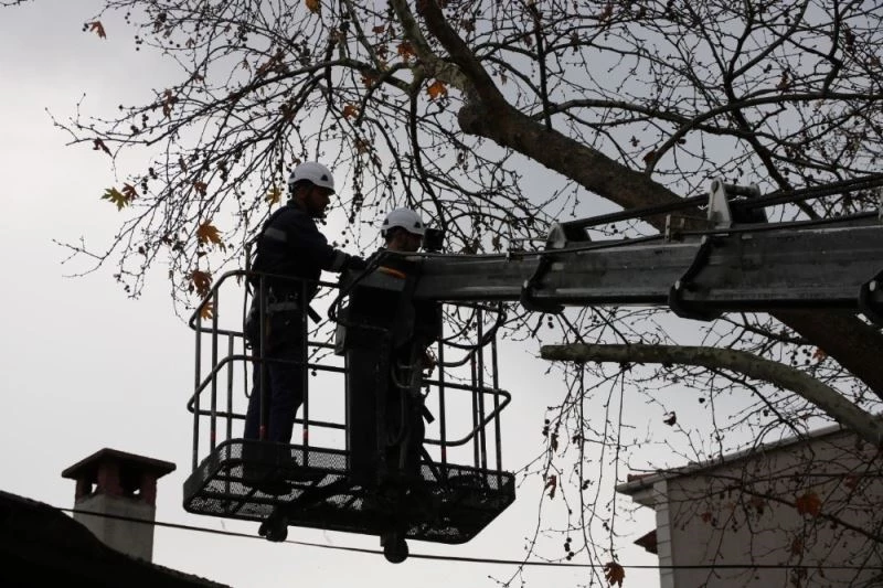 Yaya ve taşıt trafiğini etkileyen dallar budandı
