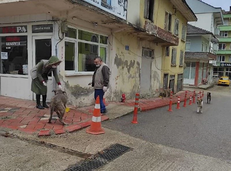 İnsanlar evlere kapanınca görev DKMP ekiplerine düştü
