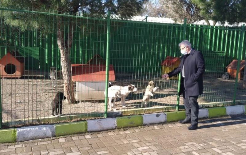 Başkan Deveciler yeni hayvan bakımevini denetledi
