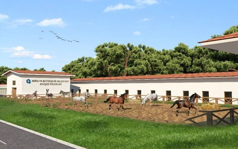 Türkiye’ye örnek proje şekillenmeye başladı
