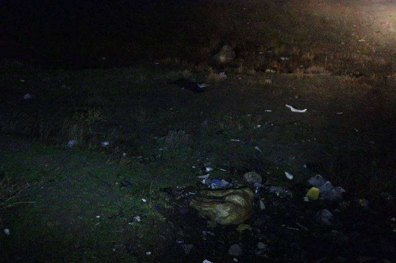 Başkent’te zehirlendikleri iddia edilen 6 köpek ölüsü bulundu
