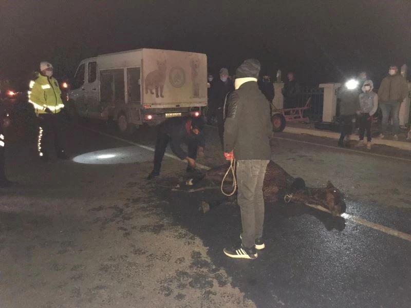 Saatlerce soğukta tedavi edilmeyi bekledi
