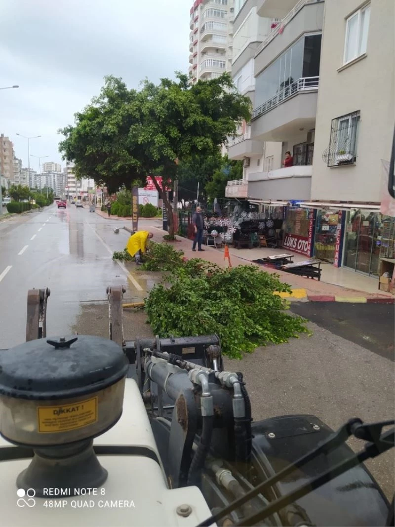 Mezitli’de aşırı yağışın tahribatı kısa sürede temizlendi
