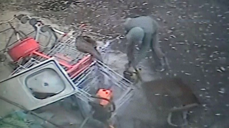 Güvenlik kamerasına yakalanan hırsız çaldıklarını atıp kaçtı
