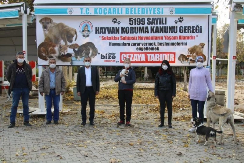 Koçarlı’ya hayvan hakları ile ilgili bilgilendirme pankartları asıldı
