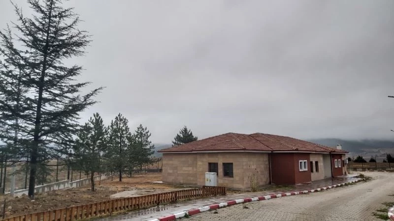 Kurum bahçesini ağaçlarla donattılar
