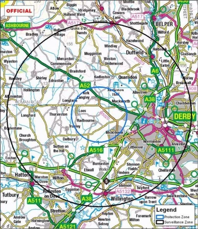 İngiltere’de yüksek derecede bulaşıcı “kuş gribi” salgını
