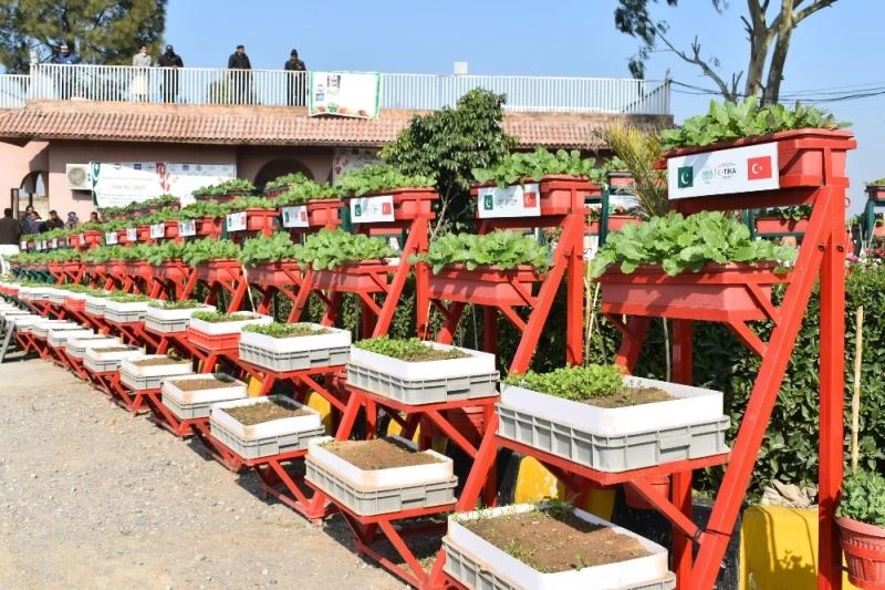 TİKA’nın Pakistan’da kadınlara yönelik uyguladığı Mikrobahçecik Projesi tamamlandı
