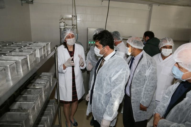 ADÜ Ziraat Fakültesi Kaşar Peyniri Üretim Tesisi açılışı gerçekleşti
